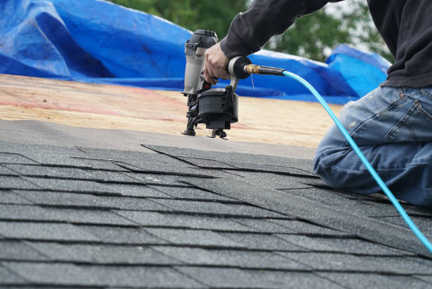 Best Roof Gutter Cleaning  in Floydada, TX